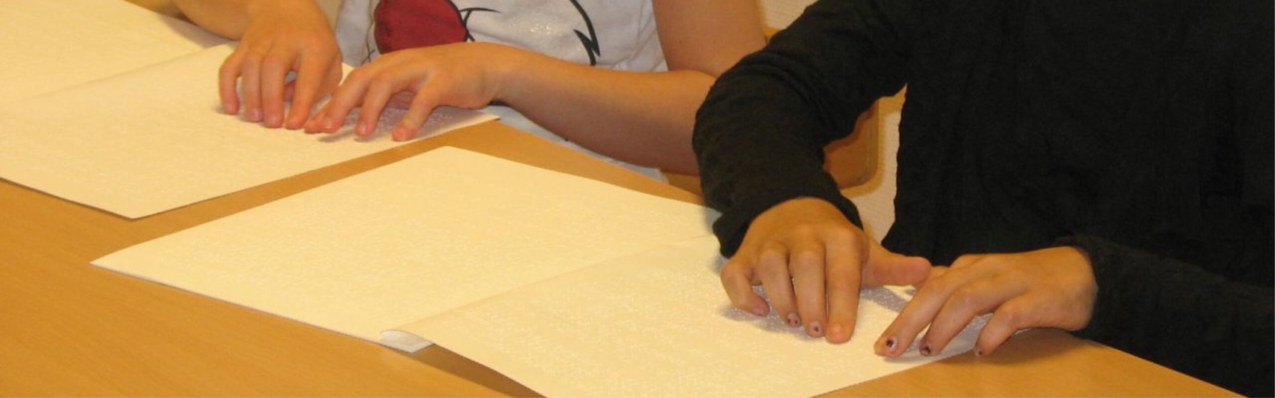 duitslezenbraille eduVIP